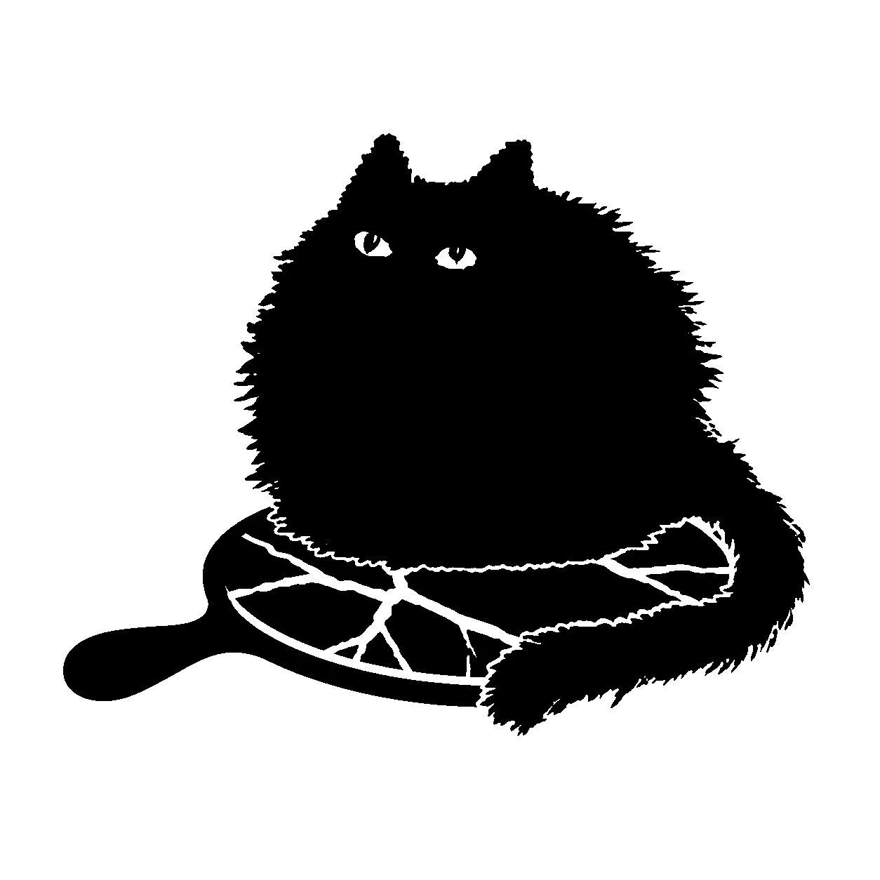Bad Luck Cat on a broken mirror